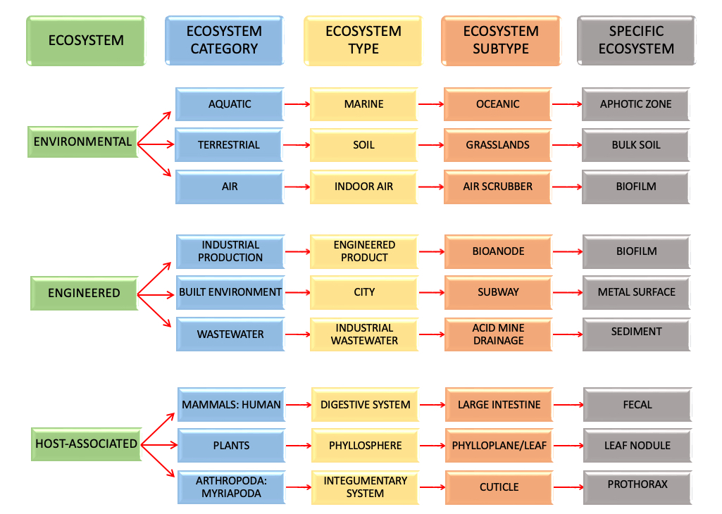 JGI GOLD | Ecosystem Classification